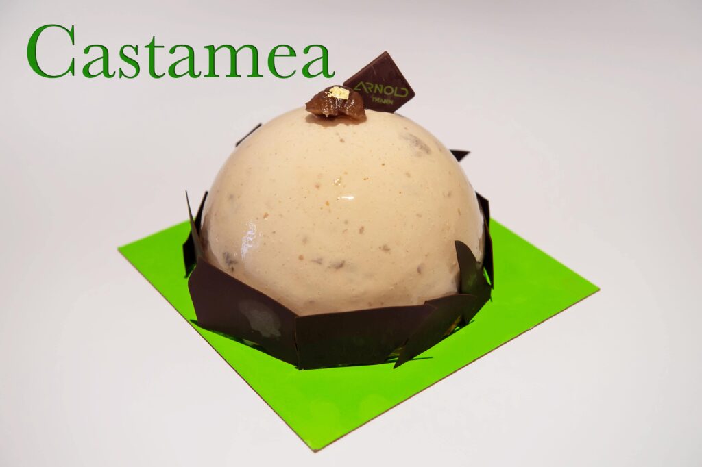 Castamea - Dessert glacé à Thann