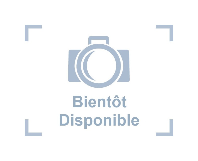 Saint-Honoré